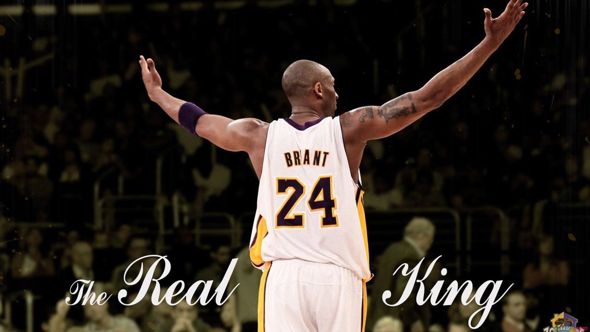 开云体育官方网站-完胜与纪录，体育中团队与个人的永恒辩证